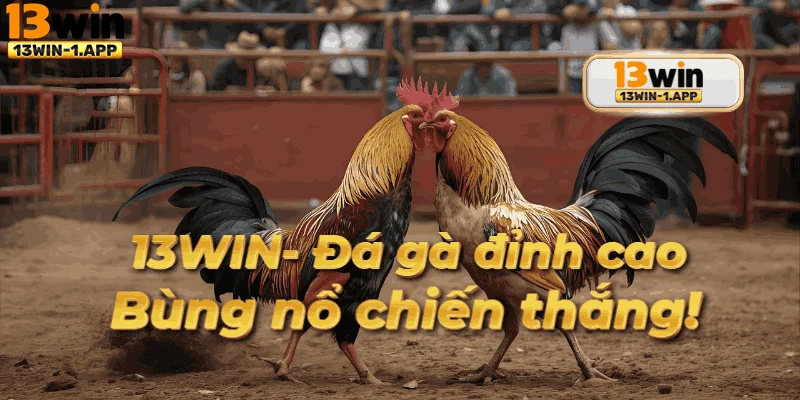 Chương trình khuyến mãi hấp dẫn cho thành viên Đá Gà 13win