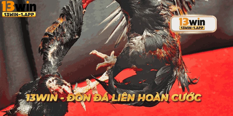 Hình ảnh chương trình ưu đãi hấp dẫn của đòn đá liên hoàn cước.