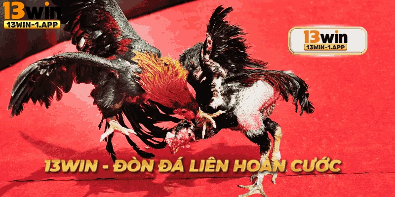 Người chơi trải nghiệm lựa chọn đòn đá liên hoàn cước thông minh.